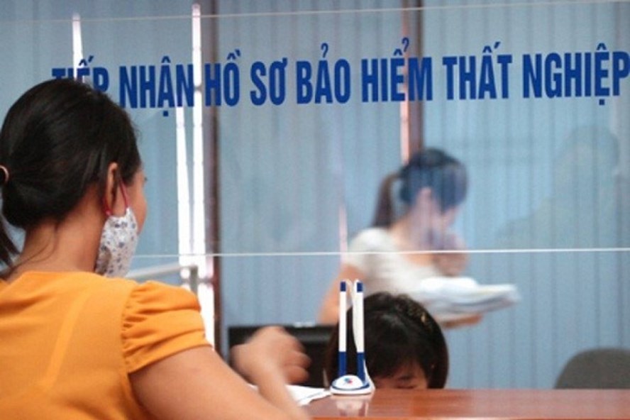 bảo hiểm thất nghiệp