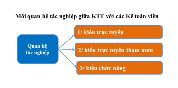 Tổ chức bộ máy kế toán - Mô hình nào phù hợp với doanh nghiệp của bạn?