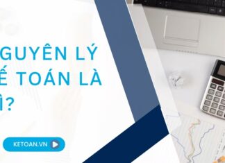 Nguyên lý kế toán là gì? Những kiến thức cơ bản mà nhân sự kế toán cần nắm vững